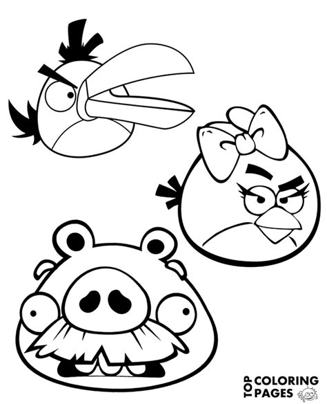 stella hal leonard coloring page angry birds