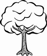 Pohon Coloring Putih Hitam Vektor Kartun Baum Sycamore Kelapa Garis Seni Ilustrasi Lineart Publicdomainvectors Klip Mewarnai Vector Clipartbest Unduh Menggambar sketch template
