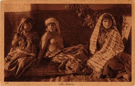 Pc Cpa Au Harem North Africa Female Ethnic Nude A9951 Africa