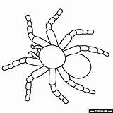 Coloring Tarantula Pages Color Pets Thecolor Drawing Kids Zentangle Online Gif Halloween Pet sketch template