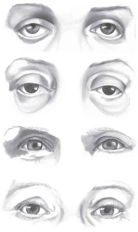examples  completed eyes drawing realistic faces
