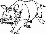 Rhinoceros Rinoceronte Colorir sketch template