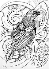 Tui Coloring Colouring Pages Zealand Adult Bird Sheets Nz Maori Books Birds Designs Kids Book Tattoos Great Drawings Patterns Pop sketch template