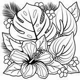 Coloring Pages Kolorowanki Egzotyczne Kwiaty Tropikalne Zapisano Flowers Sheets sketch template