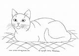 Tuxedo Cat Coloring Drawings 44kb 261px sketch template