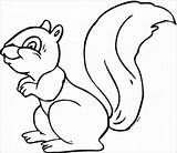 Ardillas Squirrel Tupai Imprimir Paling Pewarna Bayi Koleksi Webtech360 Coloringbay Mewarna Berlatih Squirrels sketch template