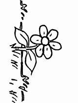 Coloring Pages Flowers Grass Colouring Sheets Kids Color Popular Advertisement sketch template