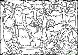 Coloring Pages Forest Habitat Getdrawings Rain sketch template