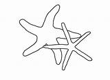 Starfish Clipart Drawing Outline Stencil Line Coloring Stencils Fingers Sea Starfishes Paintingvalley Webstockreview Seashell sketch template