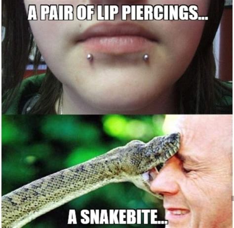 pin by shidoshi on piercing memes piercing memes lip piercing