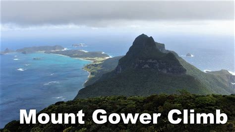 lord howe island mount gower climb youtube