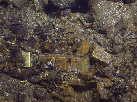 treasure   tons  gold buried   people    sea