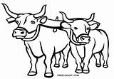 Coloring Ox Oxen Yoke Pages Printable Getcolorings Clip Color Getdrawings sketch template