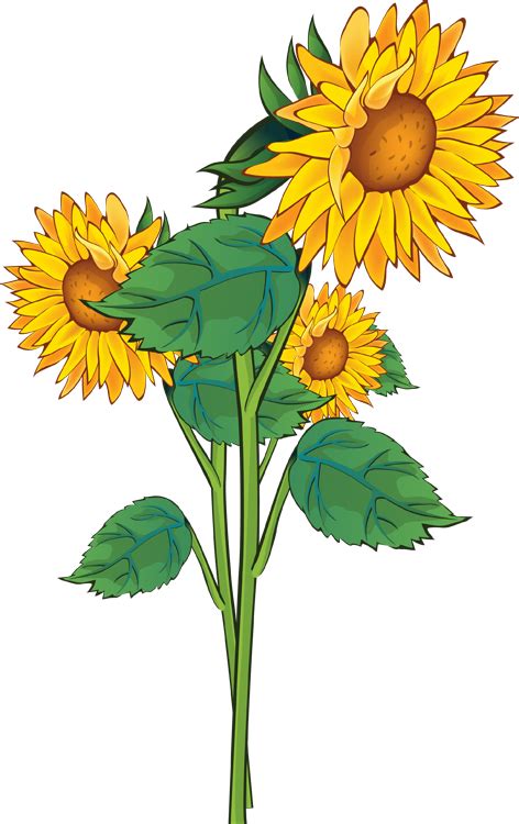 free fall sunflower cliparts download free clip art free clip art on
