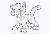 Jaguar Go Diego Baby Draw Step Drawing Drawingtutorials101 Cartoon Tutorials sketch template