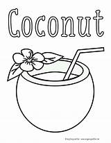 Coconuts Sheet Rylee Beach Hillary Morton Print sketch template