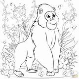 Coloring Gorilla Pages Printable sketch template