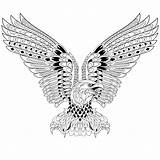 Stylized Eagle Zentangle Preview sketch template
