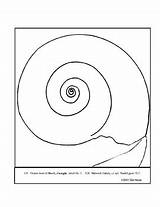 Georgia Shell Coloring Keefe Lesson Plan sketch template