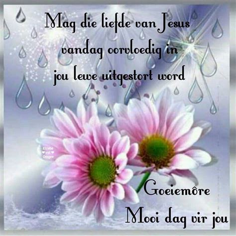 good morning flowers good morning wishes good morning quotes pink tea party lekker dag