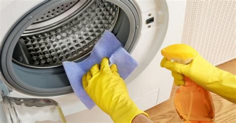 clean  washing machine  white vinegar