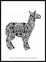Mandala Llama Llamas sketch template