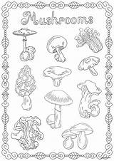 Mushrooms Vegetazione Colorare Disegni Adulti Varieties Vegetation Fleurs sketch template