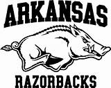 Arkansas Razorbacks Silhouette Coloring Football Razorback Pages Logo Clipart Printable Custom Svg College Shirt Outline Hog Screen Printed Stencil Template sketch template