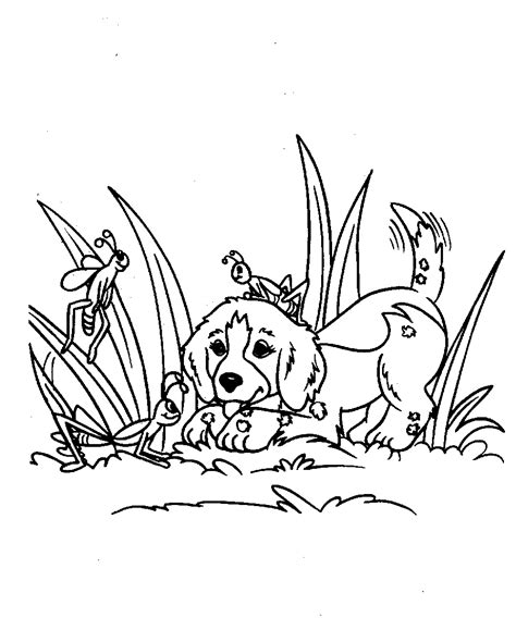 dog food coloring pages dog bone coloring page  getcoloringscom