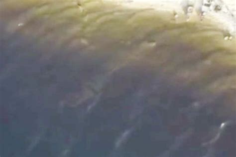 experts debunk latest loch ness monster drone sighting   hoax