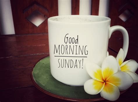 june update  beautiful  good morning sunday images