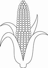 Jagung Cob Maize Sketsa Colorear Stalk Milho Putih Manis Mewarnai Pngwing Verduras Bunga Sheet Maiz Lineart Maíz Rebus Macam Sudut sketch template