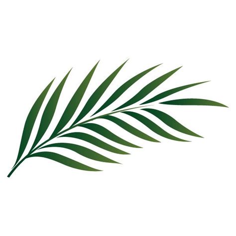palm leaf outline   polyvore featuring filler leaf outline
