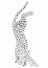 Gepard Cheetah Ausmalbilder Momjunction sketch template