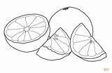 Grapefruit Drawing Coloring Pages Printable Colouring Drawings للتلوين Color Citrus Fruits Kids Frutas Riscos sketch template