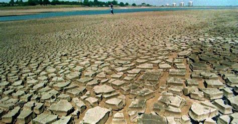 summer drought   uk experts    birmingham