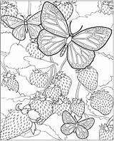 Coloring Intricate Printable Pages Getcolorings sketch template