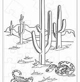 Desert sketch template