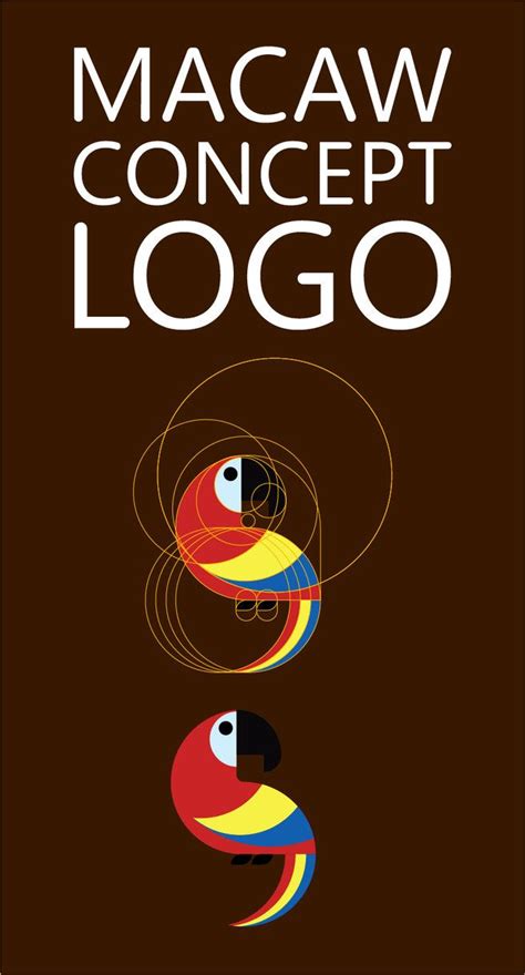 macaw concept logo parrot logo illustrator tutorials logo branding design logo