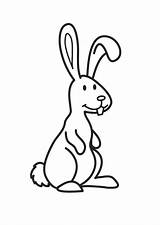 Kaninchen Malvorlage Ausmalbilder Ausdrucken sketch template