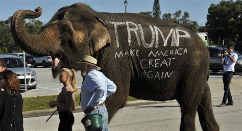 newt gingrich donald trump  ride  convention   elephant politico