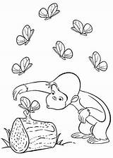 Kolorowanki Ciekawski Curioso Affe Monkey Bestcoloringpagesforkids Stimulate Book Pobrania Druku Coco Neugierige Coloringfolder Popular Newer Gackt sketch template