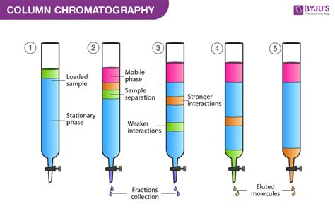 column chromatography principle procedure applications elution