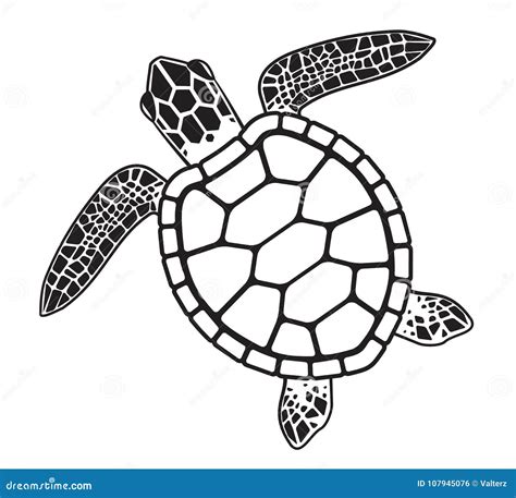sea turtle wildlife wildlife stencils forest silhouettes  cricut wildlife clipart png