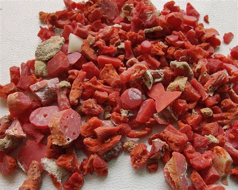 natural red coral rough gemstone loose stone coral rough etsy