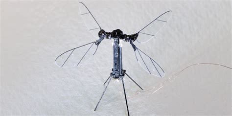 solar powered robot bee shows  insect drones   flight mit technology review