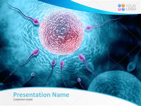 powerpoint templates free download female reproductive