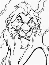 Scar sketch template