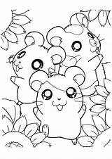 Hamtaro Coloring Pages Coloringpages1001 sketch template