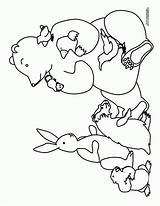 Bear Coloring Hibernating Pages Preschool Snores Christmas Hibernation Stays Animals Activities Bears Worksheets Kindergarten Winter Wilson Template Language Book Learning sketch template